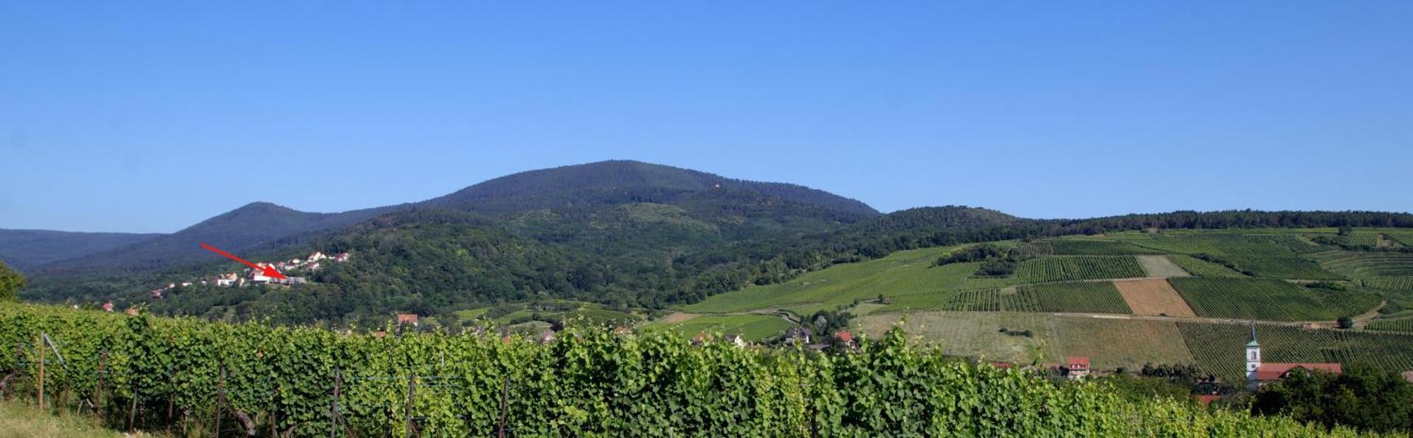 Вилла Alsace Panorama Барр Экстерьер фото